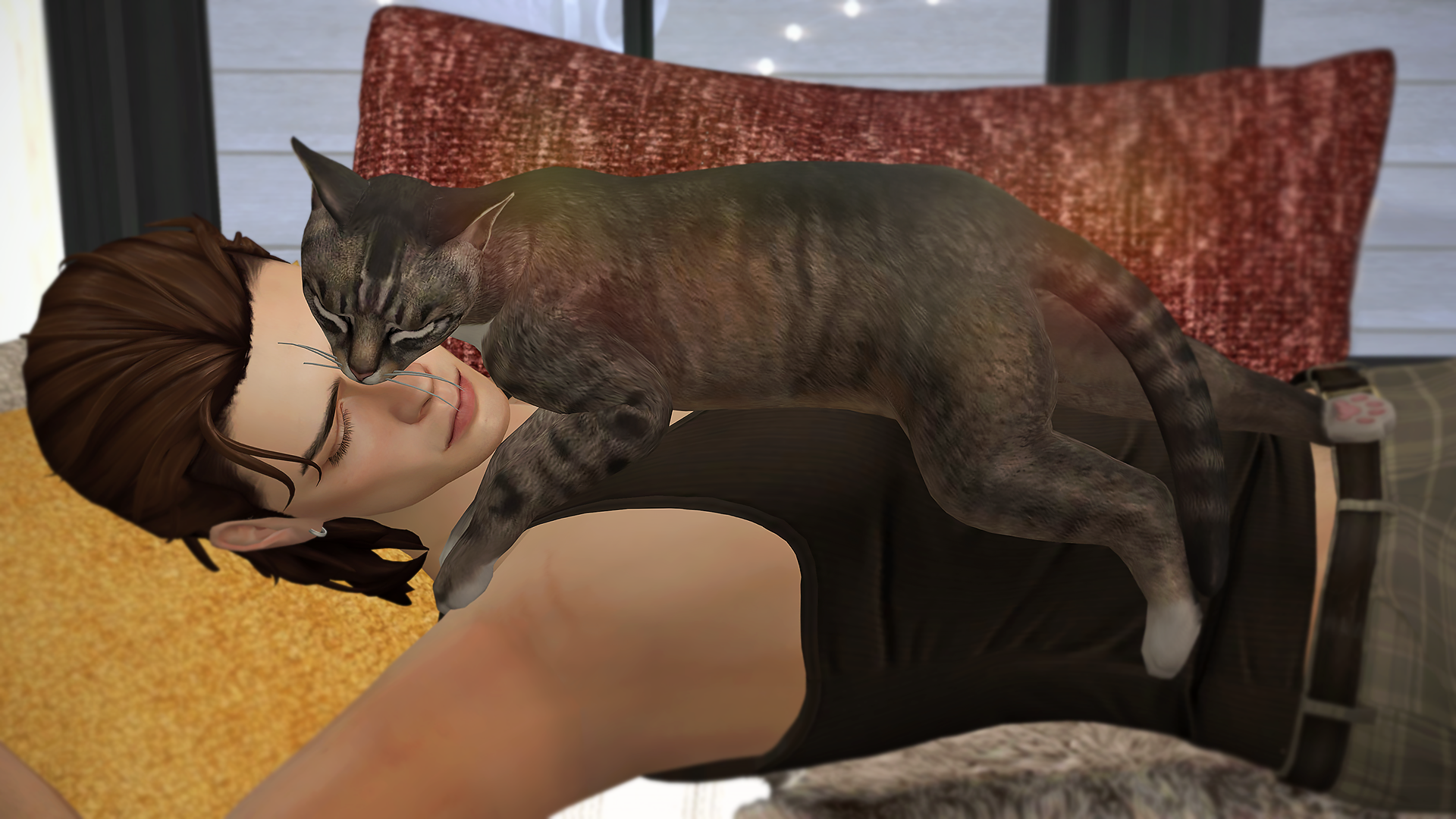 art259.png