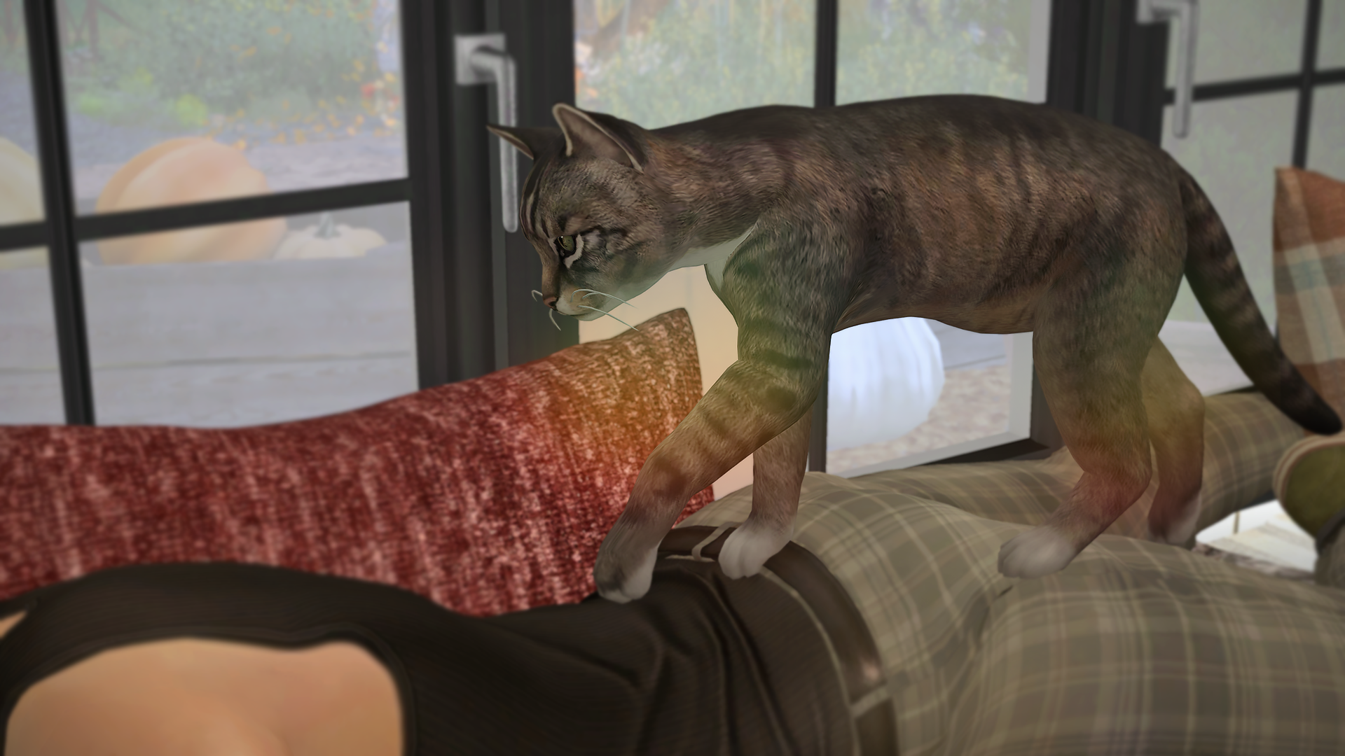 art260.png