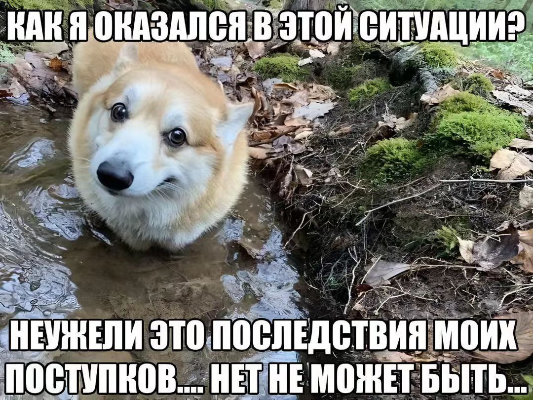 auth7-23.jpg